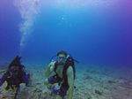 Hawaii Scuba divng 82