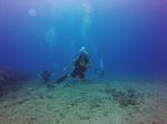 Hawaii Scuba divng 84