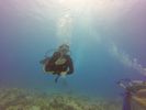 Hawaii Scuba divng 10