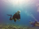 Hawaii Scuba divng 11