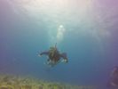 Hawaii Scuba divng 13