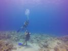 Hawaii Scuba divng 14