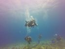 Hawaii Scuba divng 15