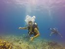 Hawaii Scuba divng 17