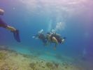 Hawaii Scuba divng 18