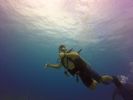 Hawaii Scuba divng 20