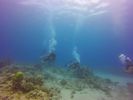 Hawaii Scuba divng 25