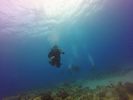 Hawaii Scuba divng 27