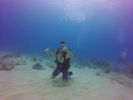 Hawaii Scuba divng 29