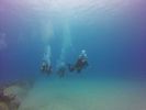 Hawaii Scuba divng 31