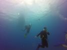 Hawaii Scuba divng 39