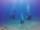 Hawaii Scuba divng 40