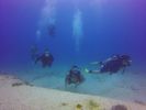 Hawaii Scuba divng 41