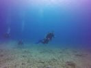 Hawaii Scuba divng 44