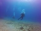 Hawaii Scuba divng 45