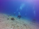 Hawaii Scuba divng 46