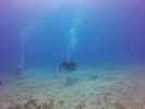 Hawaii Scuba divng 49