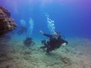 Hawaii Scuba divng 54