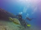 Hawaii Scuba divng 58