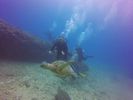 Hawaii Scuba divng 59