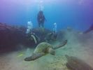 Hawaii Scuba divng 68