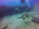 Hawaii Scuba divng 69