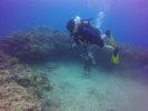 Hawaii Scuba divng 71