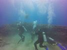 Hawaii Scuba divng 75