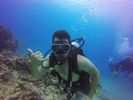 Hawaii Scuba divng 77