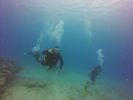 Hawaii Scuba divng 78