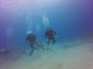 Hawaii Scuba divng 82