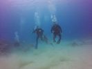 Hawaii Scuba divng 83