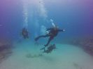 Hawaii Scuba divng 85