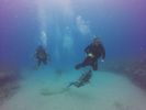 Hawaii Scuba divng 86