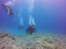 Hawaii Scuba divng 87