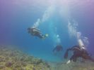 Hawaii Scuba divng 88