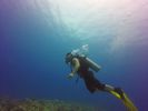 Hawaii Scuba divng 90