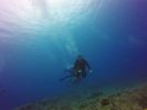 Hawaii Scuba divng 91