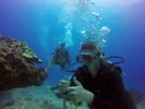 Hawaii Scuba divng 93