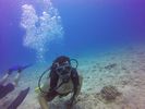 Hawaii Scuba divng 94