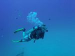 Hawaii Scuba divng 10