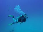 Hawaii Scuba divng 11