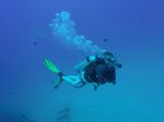 Hawaii Scuba divng 13