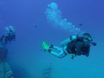 Hawaii Scuba divng 14