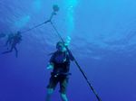 Hawaii Scuba divng 16