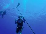 Hawaii Scuba divng 17