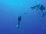 Hawaii Scuba divng 19