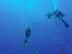 Hawaii Scuba divng 20