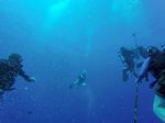 Hawaii Scuba divng 21