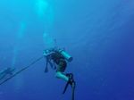 Hawaii Scuba divng 22